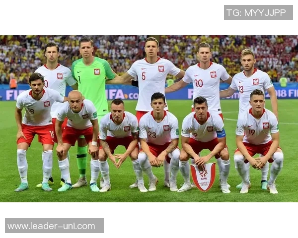 世预赛精彩对决丹麦与波兰的比分分析与赛后点评