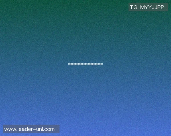 篮球明星威少韦斯特的传奇之路与赛场背后的故事探秘